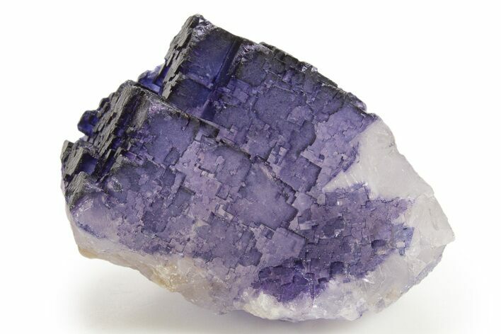 Deep Purple Fluorite Crystals - Múzquiz, Mexico #323941